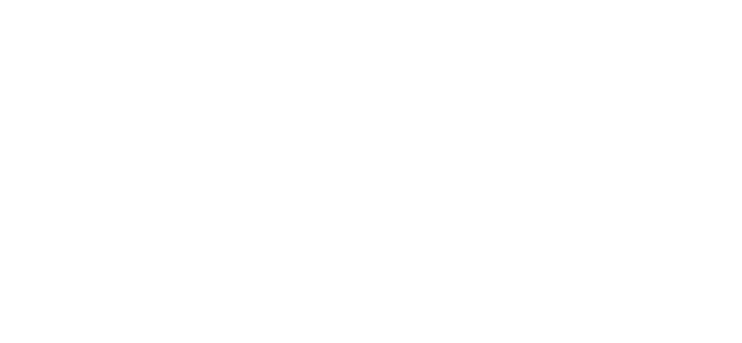 ボロフェスタ クイックレポート